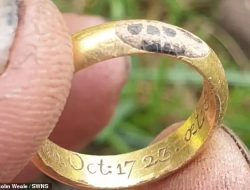 Metal Detectorist Unearths 18th-Century Noble Ring in Norfolk Field
