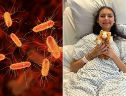 Safety warning over popular ‘healthy’ food that’s often laced with deadly bacteria Safety warning over popular ‘healthy’ food that’s often laced with deadly bacteria