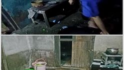 8 Rumah Rusak, Laptop, dan Ternak Hilang dalam Serangan Brutal di Umalor: Kritik ke Polisi yang Dianggap Lamban dan Tak Serius 8 Rumah Rusak, Laptop, dan Ternak Hilang dalam Serangan Brutal di Umalor: Kritik ke Polisi yang Dianggap Lamban dan Tak Serius