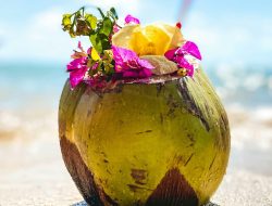 Which Is More Likely to Cause Weight Gain: Sugarcane Juice or Coconut Water? Which Is More Likely to Cause Weight Gain: Sugarcane Juice or Coconut Water?