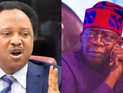 Shehu Sani Calls for Northern Support for Tinubu’s 8-Year Southern Presidency