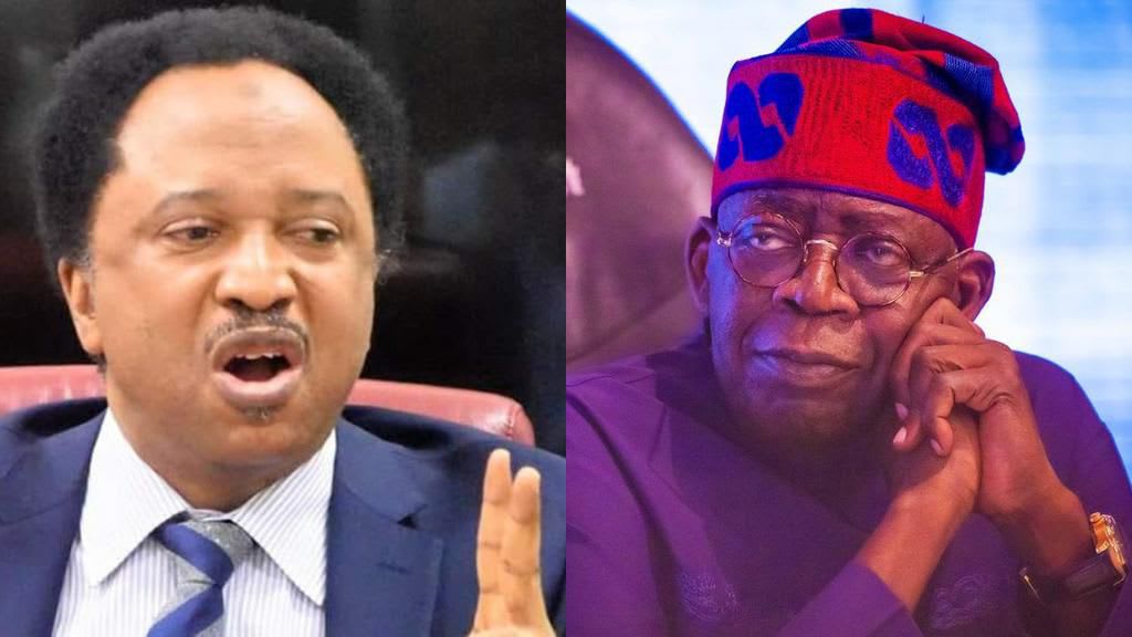 Shehu Sani Calls for Northern Support for Tinubu’s 8-Year Southern Presidency