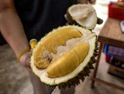 Durian Rush: Penang’s Hotels Overflow as Tourists Flood Malaysia