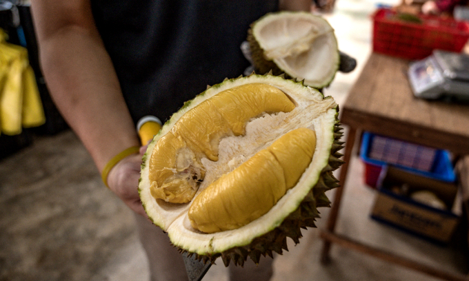 Durian Rush: Penang’s Hotels Overflow as Tourists Flood Malaysia