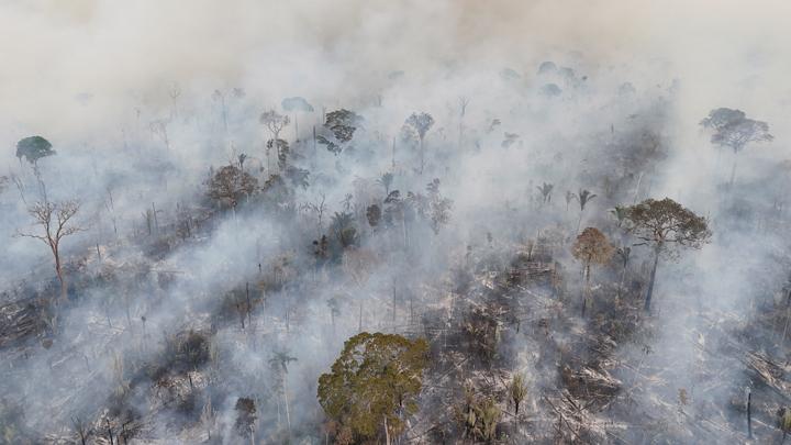 Tips Mengurangi Dampak Asap Kebakaran Hutan