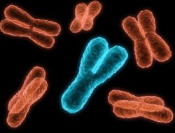 Mitochondrial Dysfunction Tied to Proteome Imbalance From Aneuploidy in UK Study