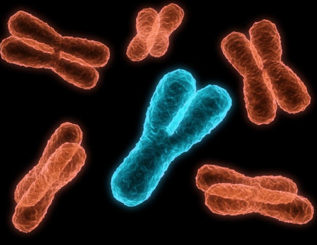 Mitochondrial Dysfunction Tied to Proteome Imbalance From Aneuploidy in UK Study