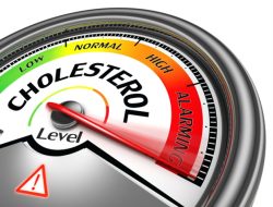 New Enzyme Switch Restores Cholesterol Balance and Reduces Inflammation