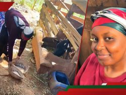 Kenyan Woman’s Bold Move: Leaving Lucrative Dubai Job to Restart Life in Her Village
