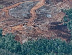 Pemeriksaan Dugaan Pelanggaran Tambang Nikel di Raja Ampat Membutuhkan 2 Bulan