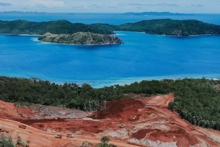 Hentikan Kerusakan, Politikus Golkar Dorong Pemerintah Review Izin IUP di Raja Ampat