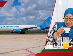 Tanzania Reacts as EU Bans All Its Airlines Tanzania Reacts as EU Bans All Its Airlines