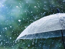 NDMA Forecasts Rain and Windstorms Across Multiple Regions NDMA Forecasts Rain and Windstorms Across Multiple Regions