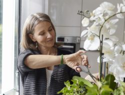 Transform Garden Cut Flowers into Elegant Pins with a Easy DIY Transform Garden Cut Flowers into Elegant Pins with a Easy DIY