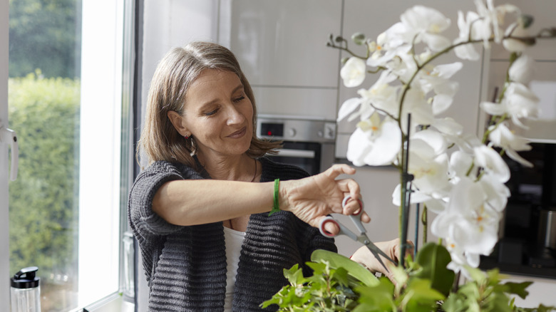 Transform Garden Cut Flowers into Elegant Pins with a Easy DIY