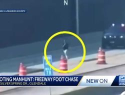 Watch: Chase Ends as Sheboygan Falls Shooting Suspect Captured on Freeway Watch: Chase Ends as Sheboygan Falls Shooting Suspect Captured on Freeway