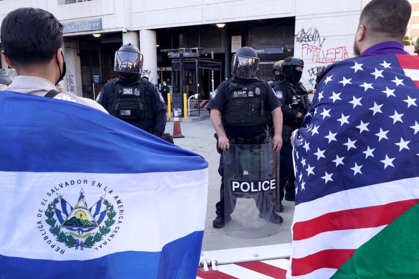 Flags Wave at LA Protests: Stories Behind the Symbols