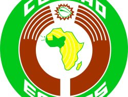 ECOWAS Celebrates 50 Years: A Half-Century of Progress