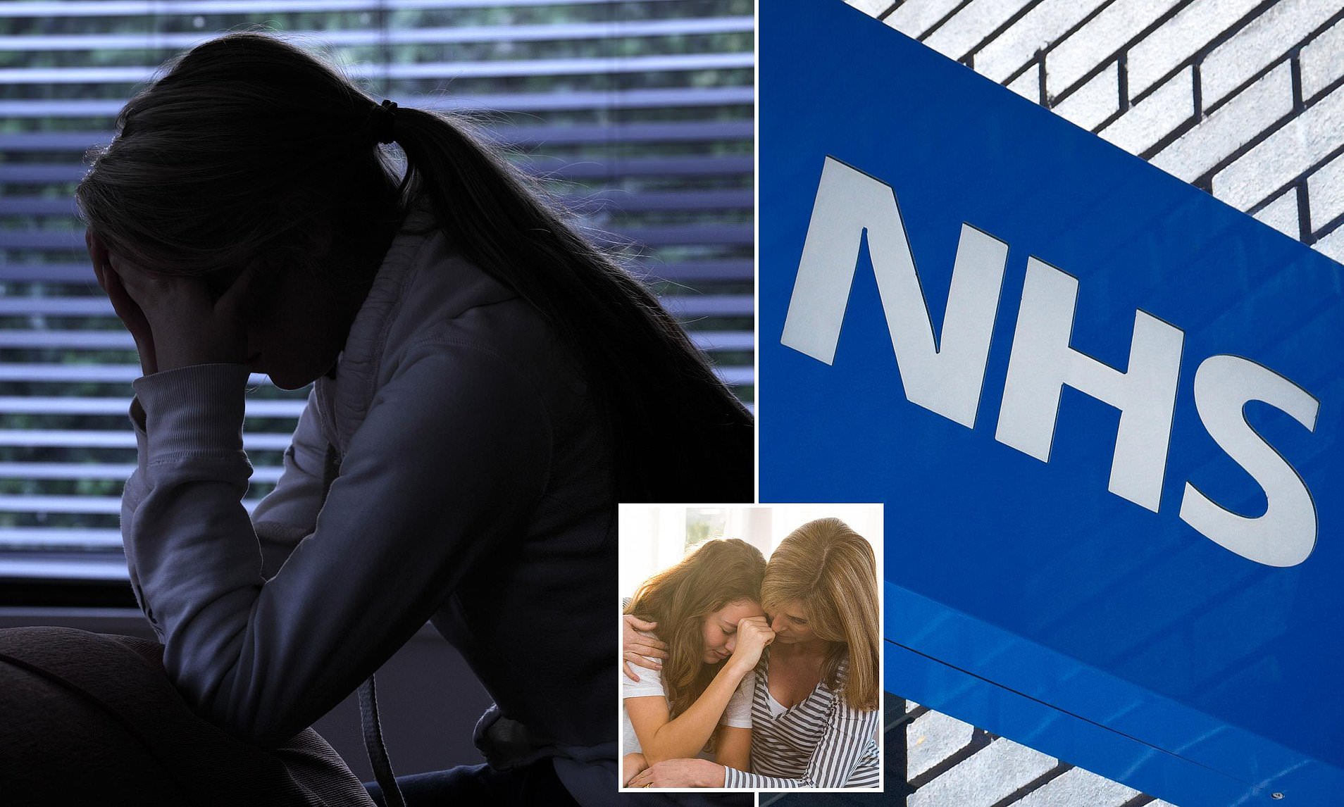 Private School Girl Denied NHS Mental Health Support Over Suicide Risk