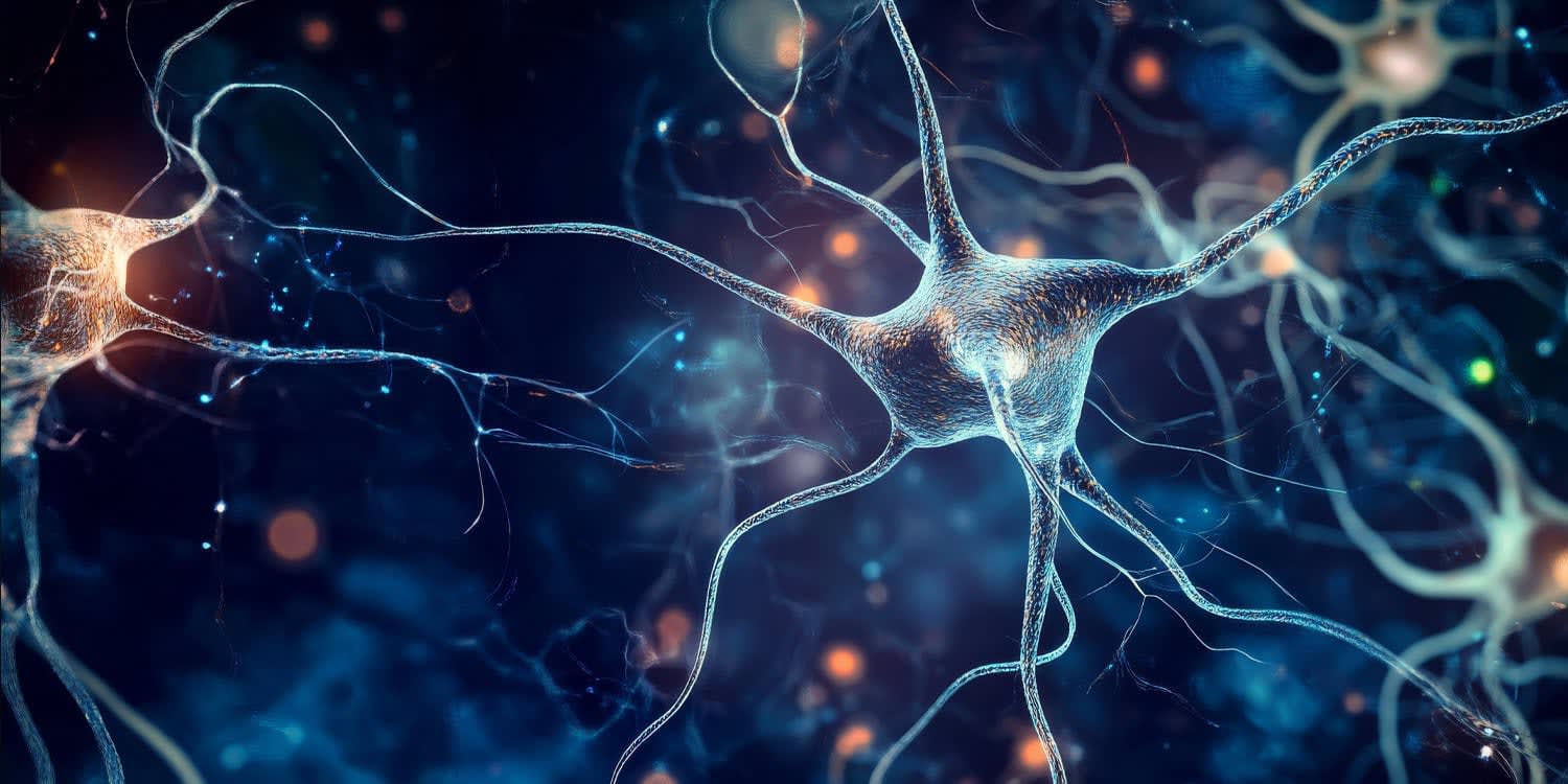 Neuroscientists Unveil Brain’s Secret to Ignoring Unimportant Information
