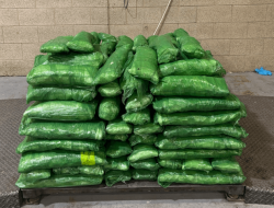 M Meth Bust: Tomatillos Used to Conceal Drugs at South Texas Port