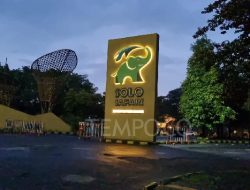 Safari Solo Gratiskan Akses bagi Anak 6 Tahun saat Liburan