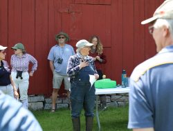 Juvenile court staff get STEAM education in the wetlands and woods