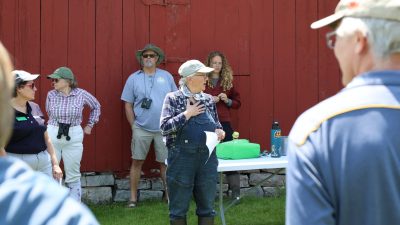 Juvenile court staff get STEAM education in the wetlands and woods