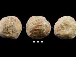 Ancient Stone Spheres: Clues to Early Human Toolmaking Genius Ancient Stone Spheres: Clues to Early Human Toolmaking Genius