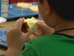 Summer Meals Provided to Students in Assumption Parish Summer Meals Provided to Students in Assumption Parish