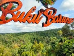 Bukit Baruno Pangandaran,Surga Tersembunyi Padukan Alam dan Kuliner Sunda,Cocok Buat Libur Sekolah