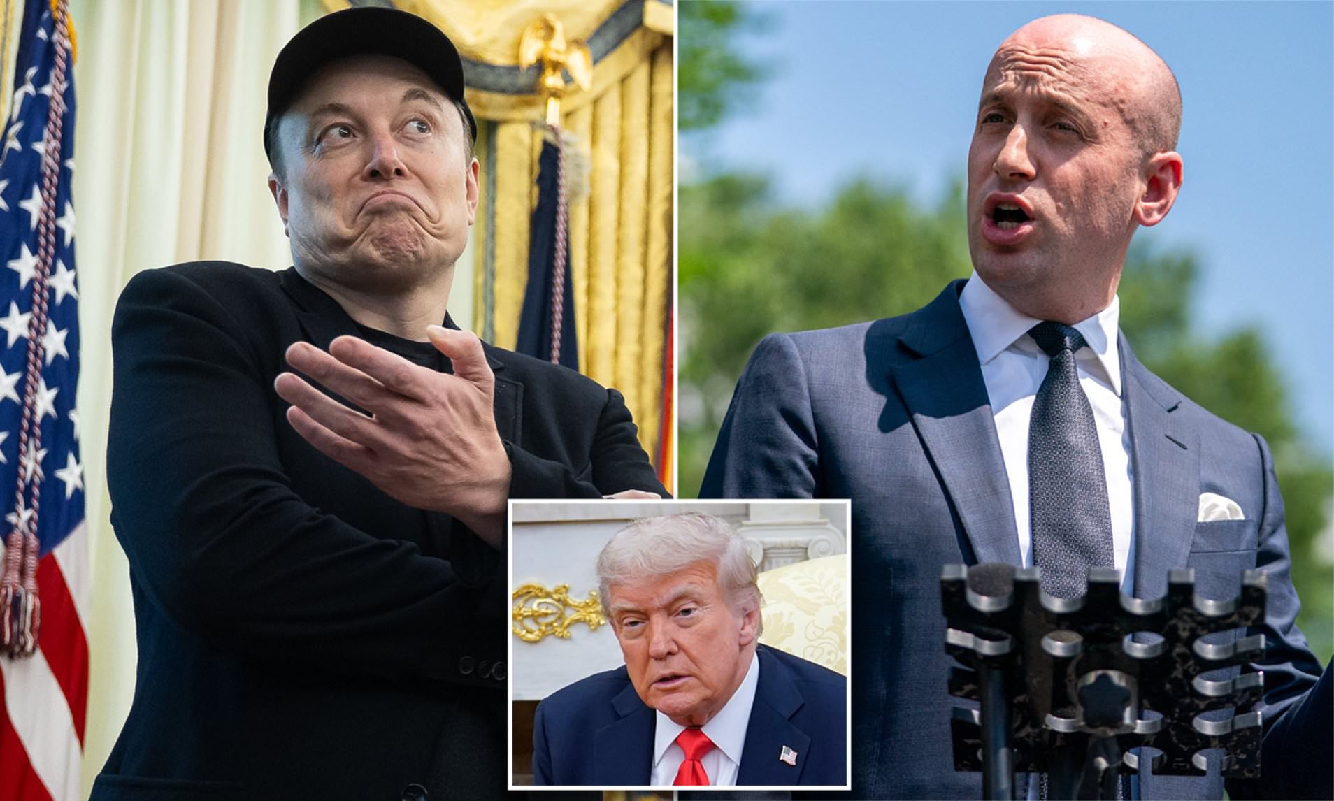 Elon Musk Unfollows Stephen Miller as His Wife Katie Joins Tesla Team