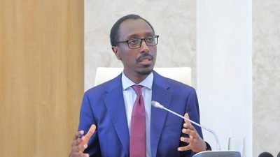 Diplomat’s Vision: Making Ethiopia’s Quest for Sea Access an International Success