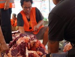 Bupati Tana Toraja Serahkan Sapi Kurban dari Presiden Prabowo di Masjid Nurul Jihad Se,pon