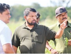 Minister Announces Projects to Slash HEC in Puttalam: Government Approves Initiatives – International Edition (English) Minister Announces Projects to Slash HEC in Puttalam: Government Approves Initiatives – International Edition (English)