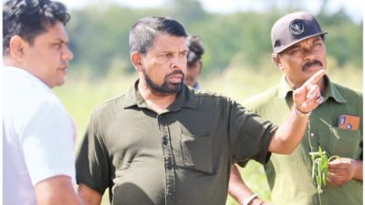 Minister Announces Projects to Slash HEC in Puttalam: Government Approves Initiatives – International Edition (English)