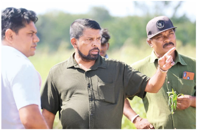 Minister Announces Projects to Slash HEC in Puttalam: Government Approves Initiatives – International Edition (English)