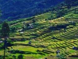 Bogor Sajikan Festival Desa Wisata 2025: Eksplore Keindahan Tersembunyi
