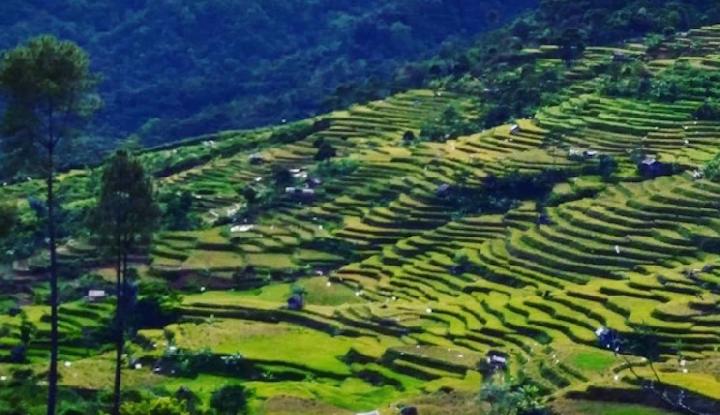 Bogor Sajikan Festival Desa Wisata 2025: Eksplore Keindahan Tersembunyi
