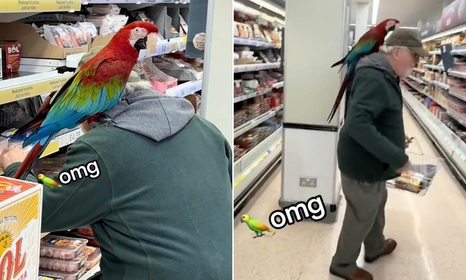 Pensioner Stuns Shoppers at Tesco With His Feathered Friend in Tow