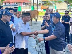 Permintaan Hewan Kurban Meningkat, Ekonomi Peternak Lokal Terdongkrak