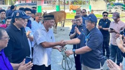 Permintaan Hewan Kurban Meningkat, Ekonomi Peternak Lokal Terdongkrak