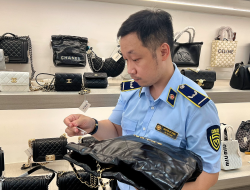 Purchasing a ‘Gucci’ Bag for Fun: How It Fuels Fraud Purchasing a ‘Gucci’ Bag for Fun: How It Fuels Fraud