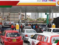 Shell Unveils New Fuels That Extend Range by 15km Per Tank