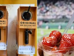 Biz Buzzes for Bee Revival Kits as Wimbledon Serves Up Strawberry Showdown