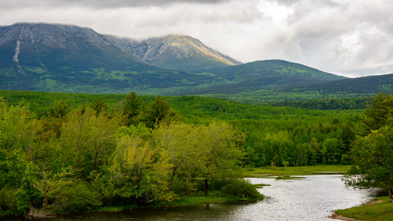 Maine’s Starry Haven: Explore Woodlands and Appalachian Trails