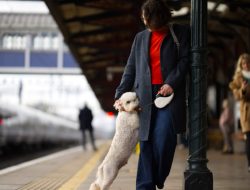 Half of Pet Owners Have Ditched Holidays to Stay With Their Furry Friends