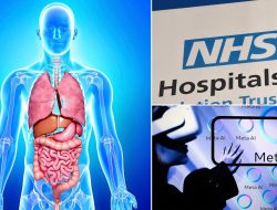 NHS Halts AI Project Amid Privacy Fears Over Unauthorized Use of 57 Million Patients’ Data