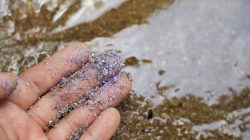 Biodegradable Microplastics Tied to Increased Diabetes Risk, Study Reveals
