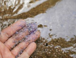 Biodegradable Microplastics Tied to Increased Diabetes Risk, Study Reveals